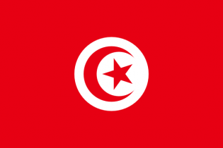 Тунисская ассоциация выпускников советских вузов, институтов и университетов