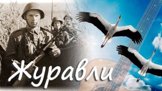 Песня Журавли. Исполняет Ансамбль народной песни #ПесниВеликойПобеды